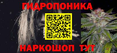 мяу мяу мука Нальчик
