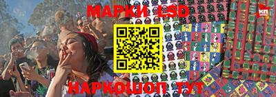 мяу мяу мука Нальчик