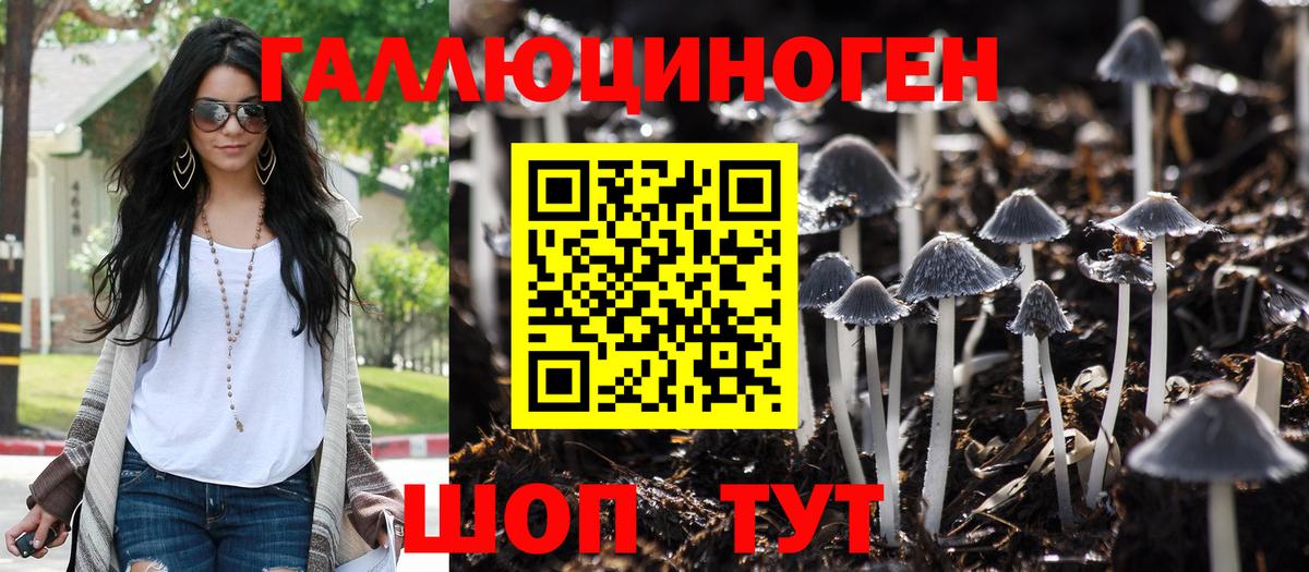 Псилоцибиновые грибы Magic Shrooms  Псилоцибиновые грибы мицелий  Тихорецк  Вход с VPN 
